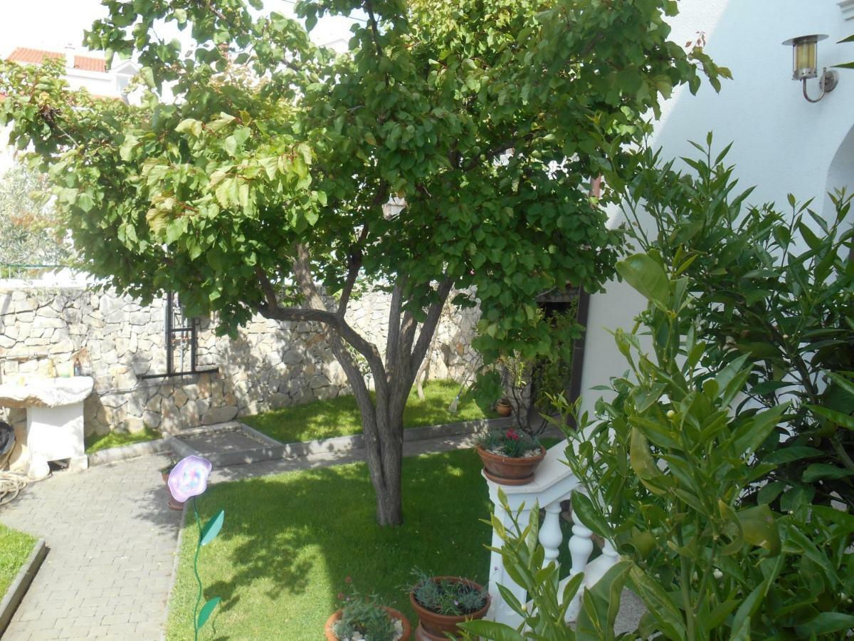 וודיצה Apartmani Vukicevic מראה חיצוני תמונה